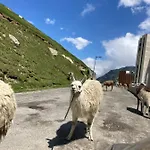 Mongie Aux Pieds Des Pistes Avec Balcon Appartement