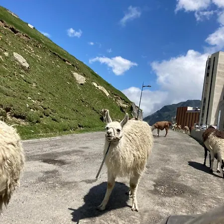 Mongie Aux Pieds Des Pistes Avec Balcon Appartement
